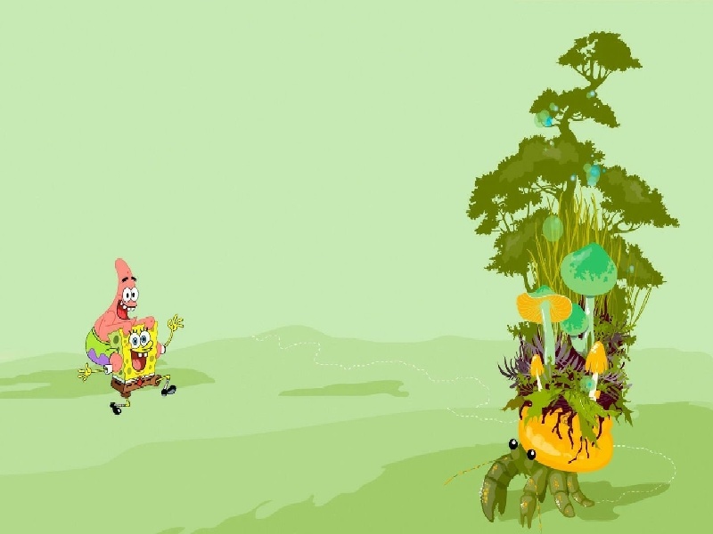 九院有试管吗,试管婴儿胎位