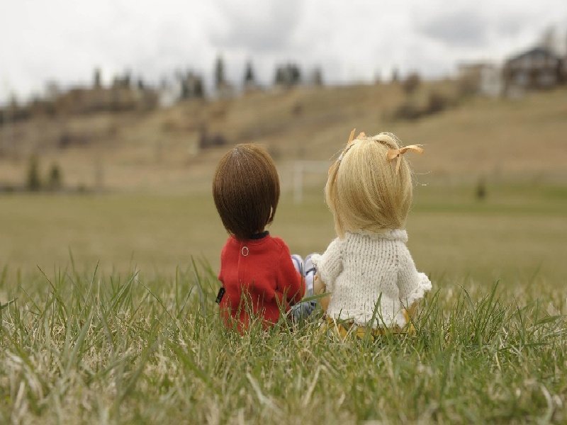 爱维试管医生,汪大子试管视频